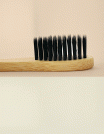 Swanfeat-Toothbrush-detail